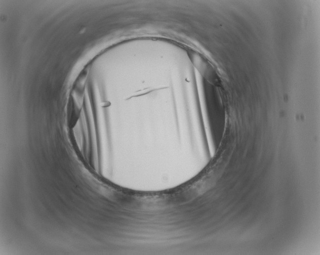 X0000080201512200612221352