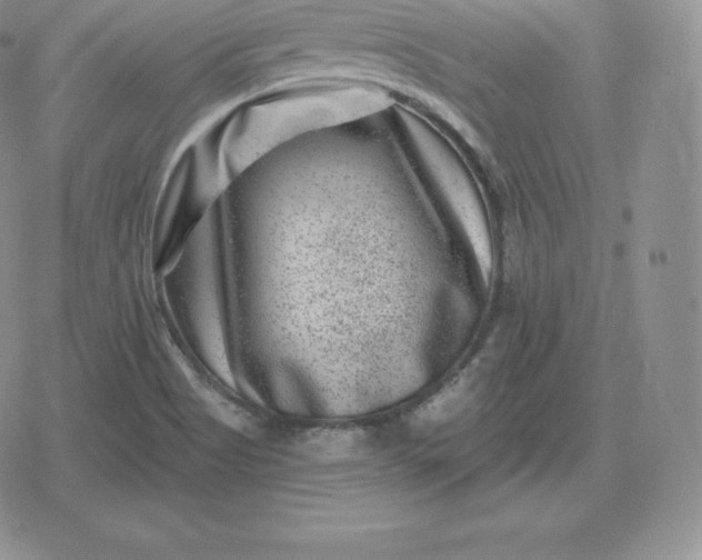 X0000080201513200612221353