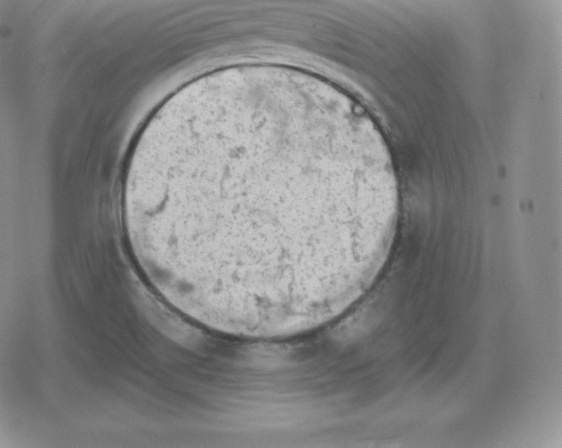 X0000080201514200612221353