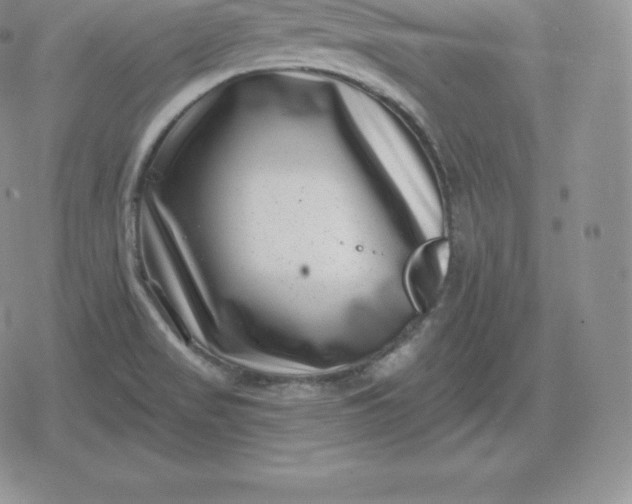 X0000080201517200612221353