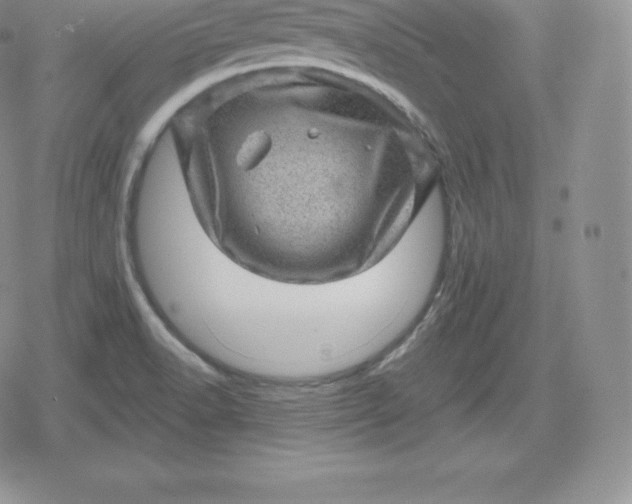 X0000080201518200612221353