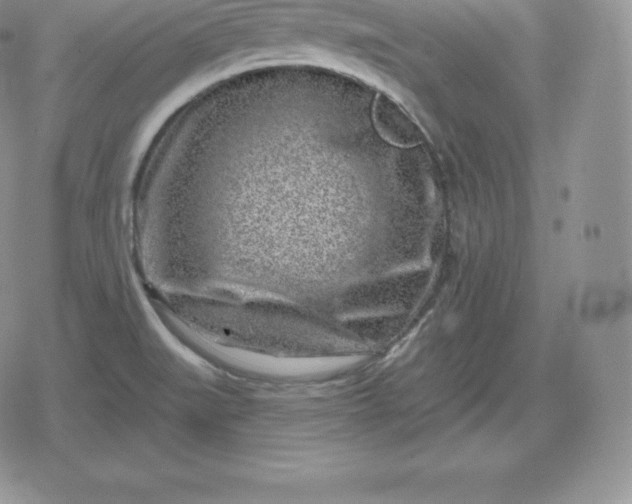 X0000080201519200612221353