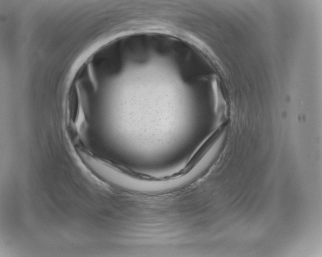 X0000080201520200612221353