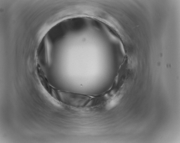 X0000080201524200612221353