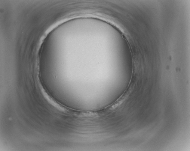 X0000080201526200612221353