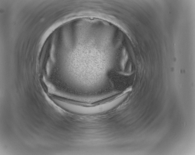 X0000080201527200612221353