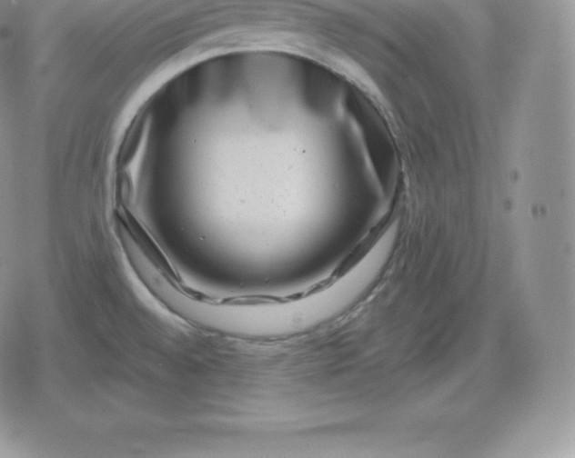 X0000080201528200612221353