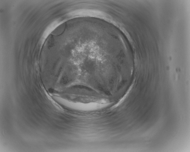 X0000080201529200612221353