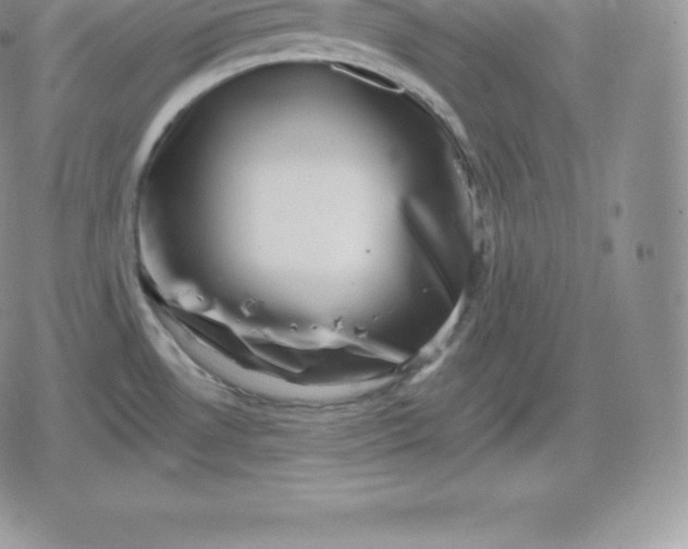 X0000080201530200612221353