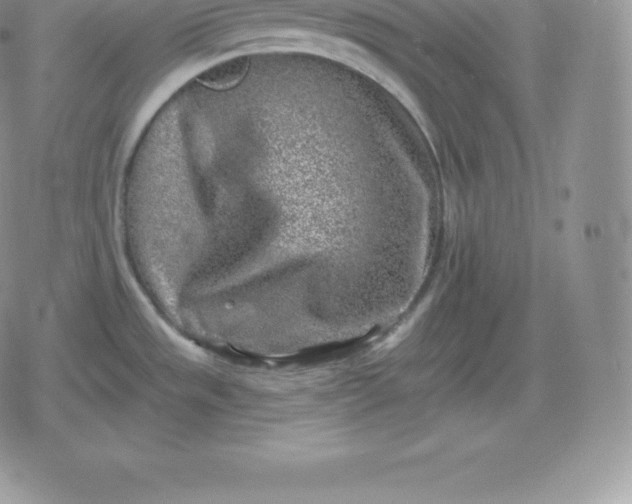 X0000080201533200612221353