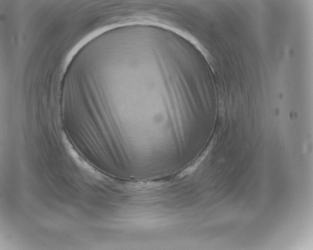 X0000080201534200612221353