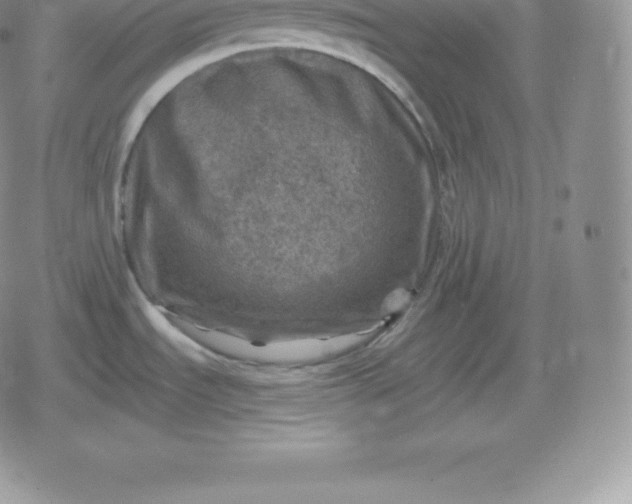 X0000080201535200612221353