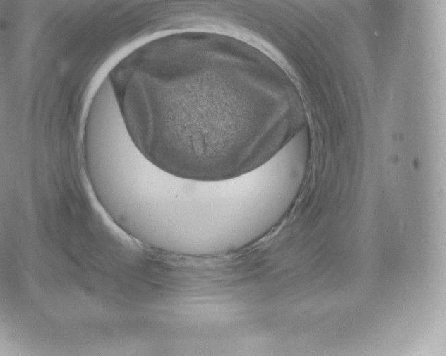 X0000080201536200612221353