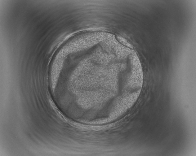 X0000080200002200612302350