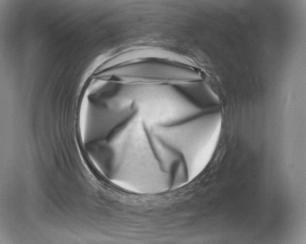 X0000080200003200612302350