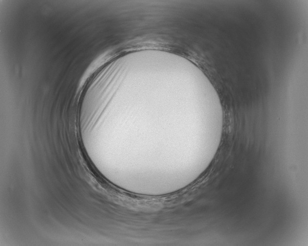 X0000080200004200612302350