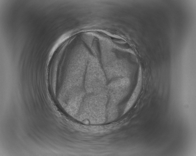 X0000080200006200612302349