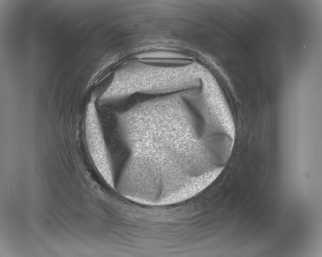 X0000080200010200612302349