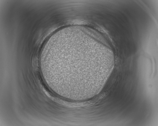 X0000080200012200612302349