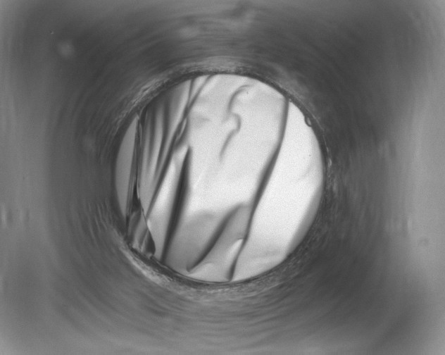 X0000080200013200612302349