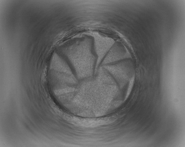 X0000080200018200612302349