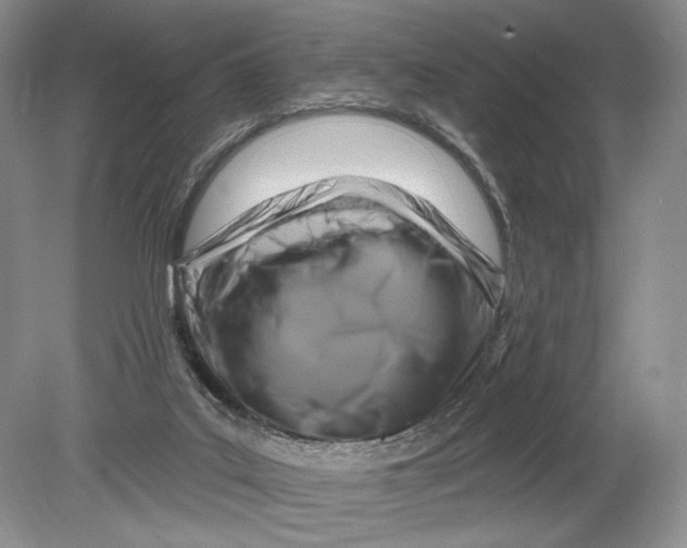 X0000080200019200612302349