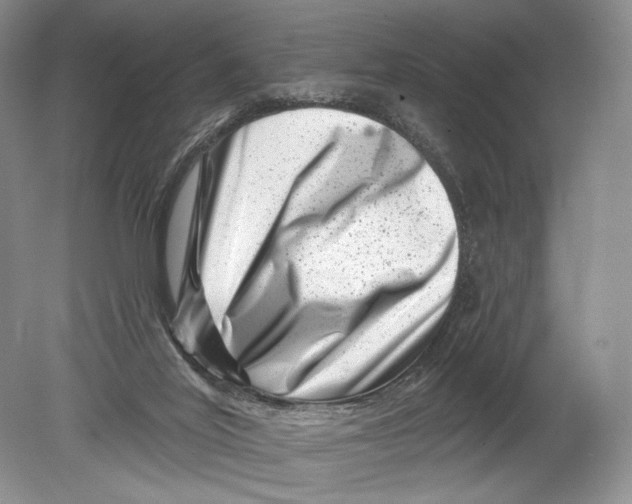 X0000080200020200612302349