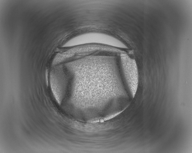 X0000080200022200612302349