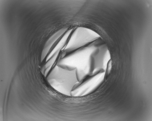 X0000080200025200612302349