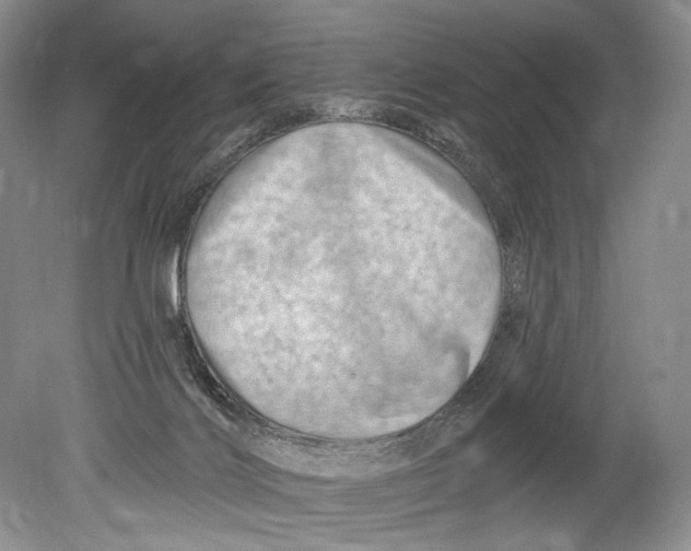 X0000080200028200612302349