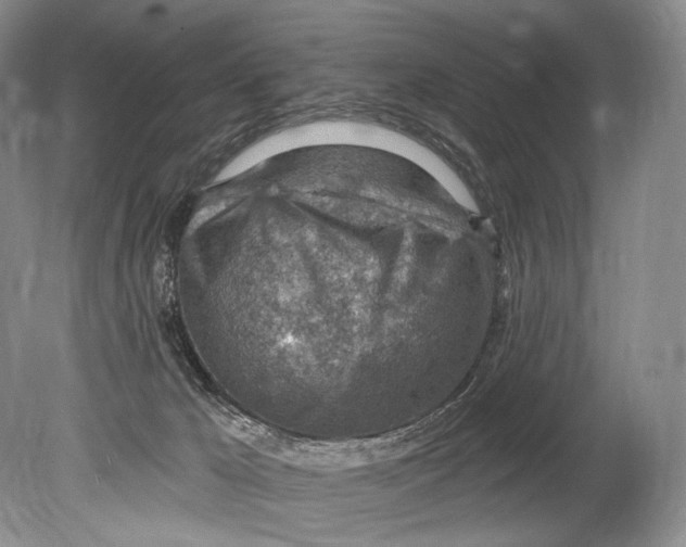 X0000080200029200612302349