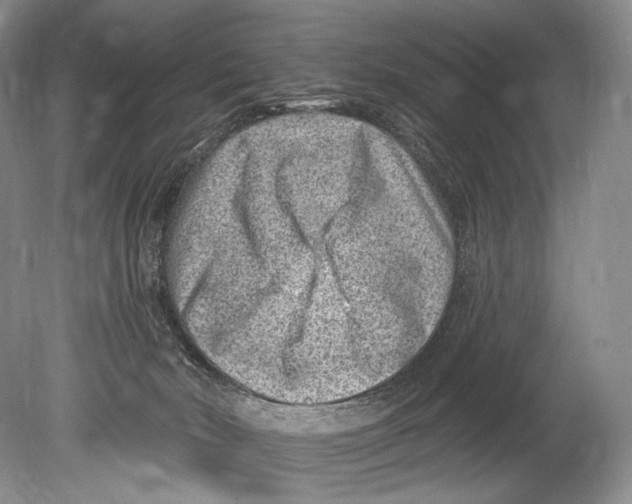 X0000080200030200612302349