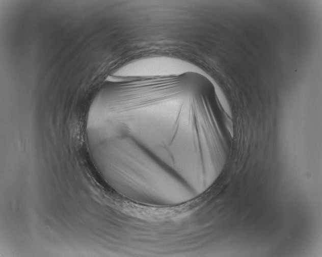 X0000080200031200612302349