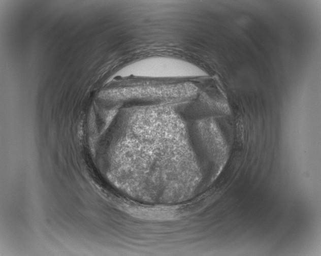 X0000080200032200612302349