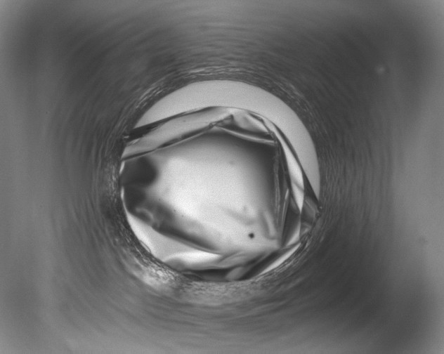 X0000080200045200612302349