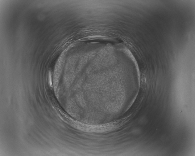 X0000080200046200612302349