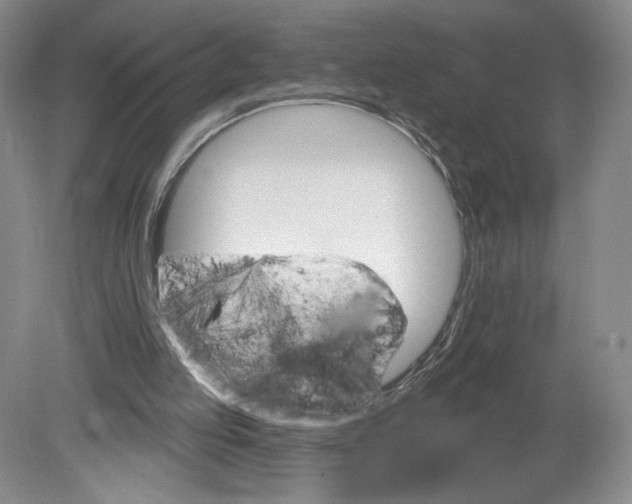 X0000080200053200612302348