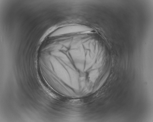 X0000080200054200612302348