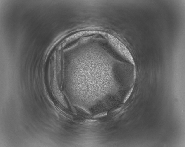 X0000080200055200612302348