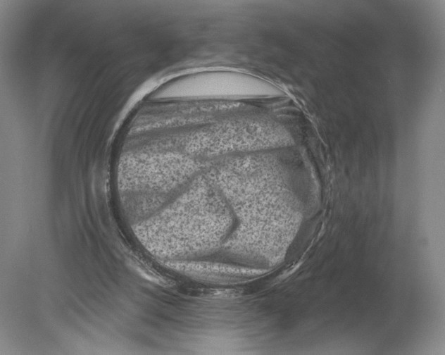 X0000080200056200612302348