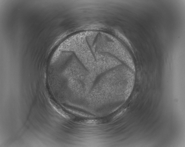 X0000080200059200612302348