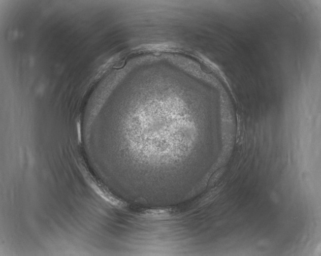 X0000080200061200612302348