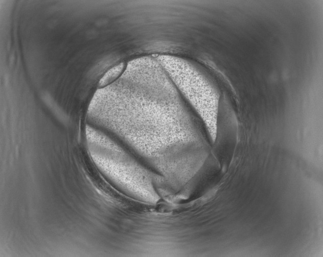 X0000080200062200612302348