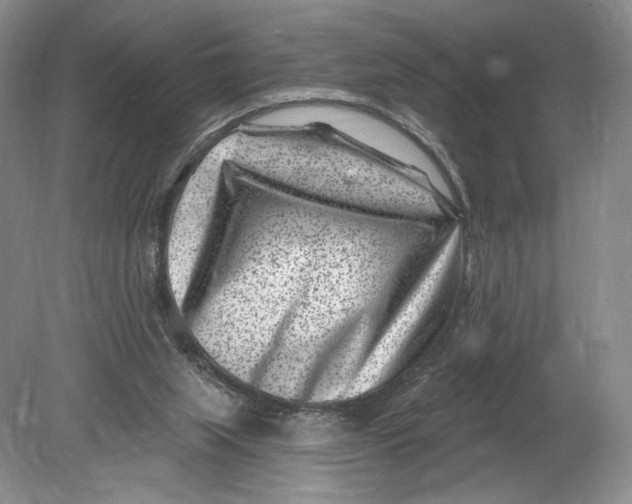 X0000080200063200612302348