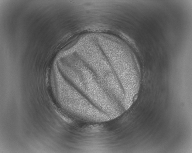 X0000080200065200612302348