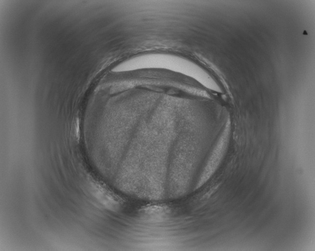 X0000080200067200612302348