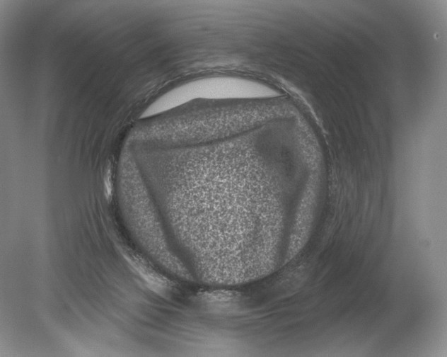 X0000080200069200612302348