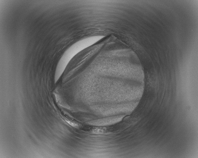 X0000080200080200612302349