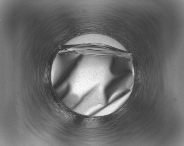 X0000080200082200612302349