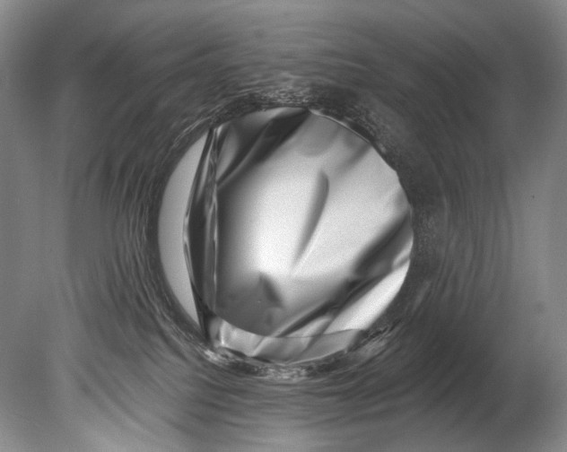 X0000080200088200612302349